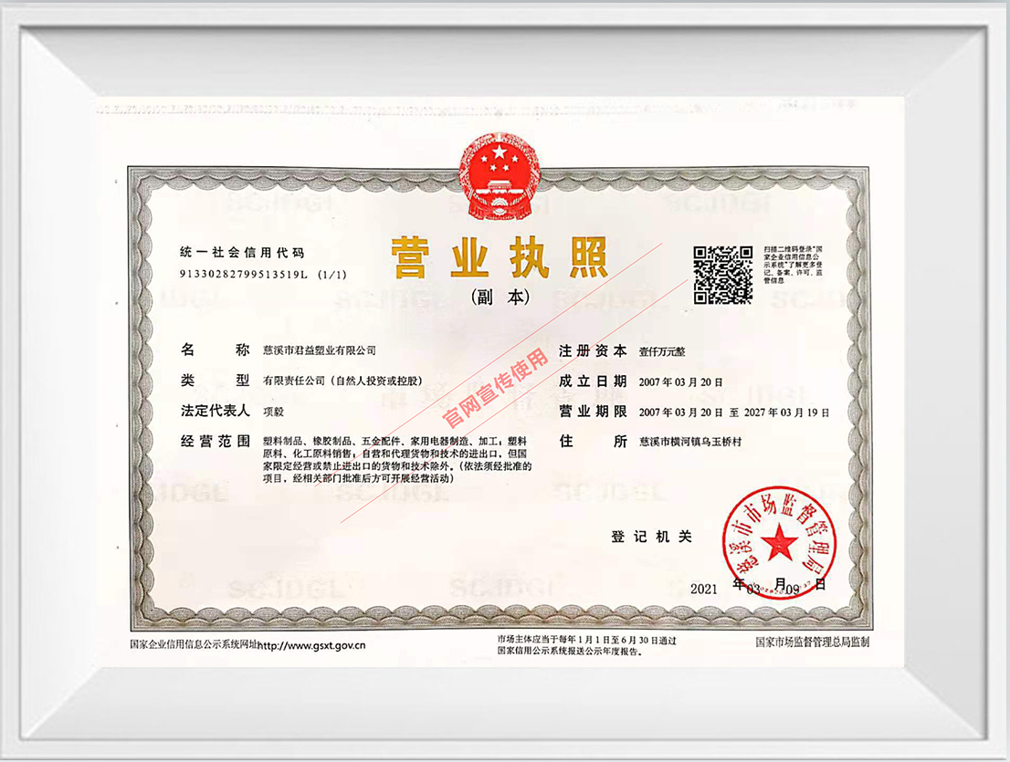 Business License